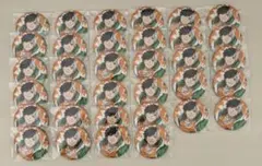 侍ジャパン＊2026WBC＊缶バッジ①＊全30種セット - メルカリ