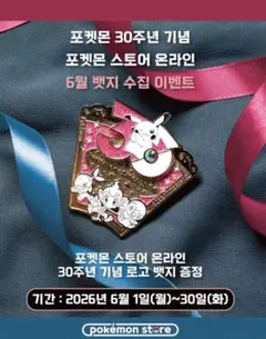 h*k様 【韓国限定】ポケットモンスター 30周年記念 限定ピンバッジ【4