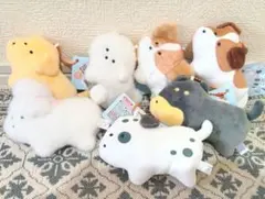 つぶらな瞳の犬　NEW　7種セット