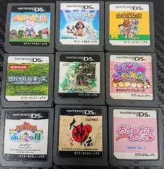 S ニンテンドーDS ソフト 9本セット NINTENDO 任天堂 まとめ売り