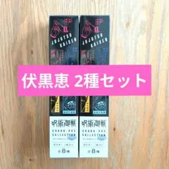 呪術廻戦 キャラポスコレクション 伏黒恵 2種セット