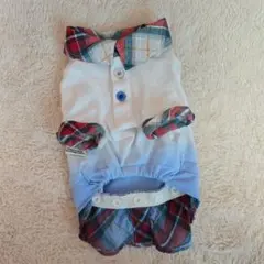 Item thumbnail for item 2e3a2ead-f2d3-4914-886a-a6d869686c2f