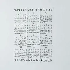 【みっちゃ様 専用】林青那 AONAHAYASHI POSTER カレンダー