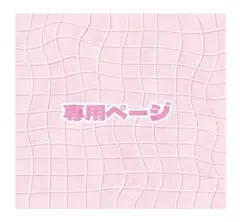 専用ページ
