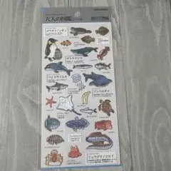 Item thumbnail for item a6efdc0d-4c43-4c14-bd5e-c5f38f48d306