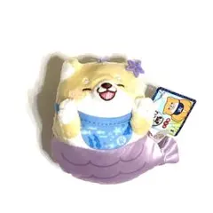 Item thumbnail for item 630514b8-7b6f-48c0-b626-b18475da85cf