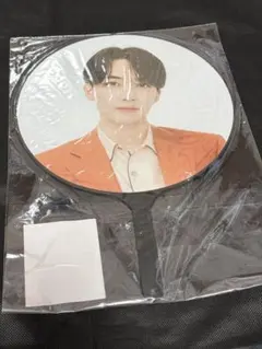 SEVENTEEN JEONGHAN うちわ