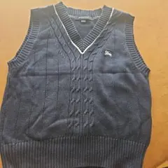 Item thumbnail for item 4f438c53-2e4a-455f-9681-5c6b66882812