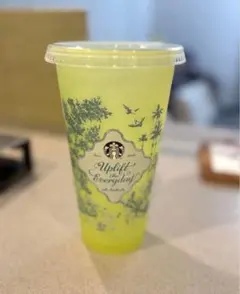 2026ミステリーカラーチェンジングリユーザブルコールドカップ710ml