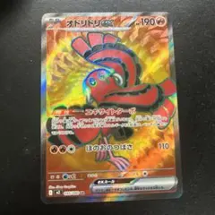 2026年最新】オドリドリ srの人気アイテム - メルカリ