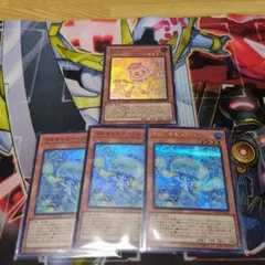 マルチャミープルリア マルチャミーニャルス