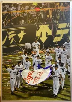 【非売品】阪神タイガース優勝パネルのサムネイル