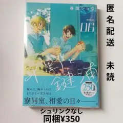 【本のみ、未読】春園ショウ　平野と鍵浦　6巻