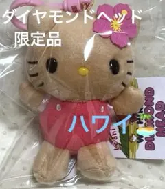 日焼けキティ　ハローキティ ハワイアンぬいぐるみ　ハワイ　ダイヤモンドヘッド限定