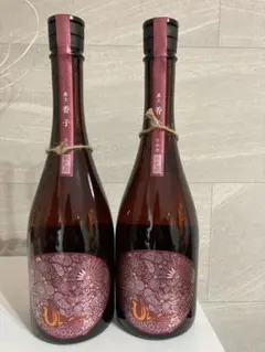 2026年最新】産土 四農醸の人気アイテム - メルカリ