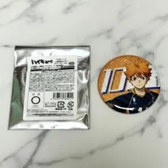 ハイキュープラザ TD缶バッジ 挑戦者たち グリッター 日向翔陽
