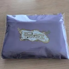 Tokyo DisneySea ファンタジースプリングスホテル エコバッグ