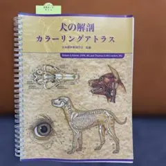 2026年最新】犬の解剖 アトラスの人気アイテム - メルカリ