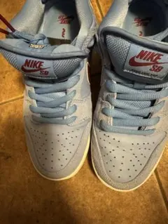 2025年最新】nike sb dunk low pro philliesの人気アイテム