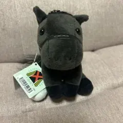 アイドルホース　クロワデュノール新品タグ付き