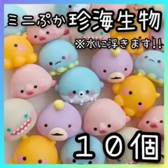 ◆縁日◆スーパーボール　きんぎょすくい　ぷかぷか　珍海生物　水族館　メンダコ