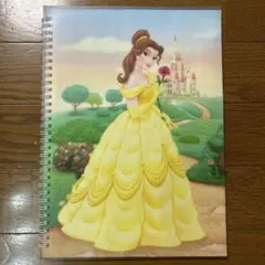 ディズニープリンセス スパイラルノート　おまけ付き