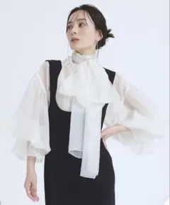 ⭐︎新品⭐︎アニュアンス　シアーボウタイボリュームブラウス　IVORY