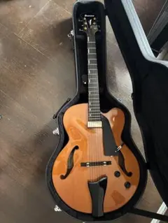 Rossi Guitars GIGFIT-Custom 16インチ - メルカリ