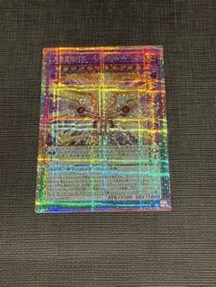 BMG様 リクエスト 2点 まとめ商品