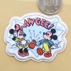 ミッキー ミニー ディズニー 刺繍 アイロン ワッペン アップリケ dn-53