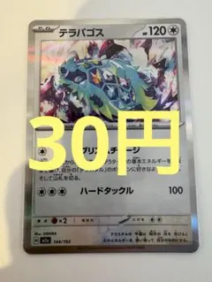 【30円(在庫1枚)】テラパゴス　キラ　ポケモンカード