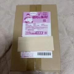 新品未開封　ポケモンセンター トウホク スペシャルBOX シュリンク付き