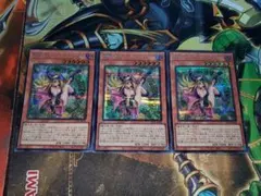 アジア版 遊戯王 魔術師の弟子 ブラックマジシャンガール シークレット