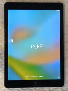 ipad pro本体