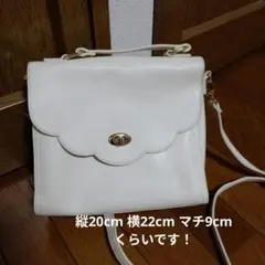 WEGO ショルダーバッグ 痛バ 推し活のサムネイル