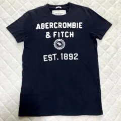 Abercrombie&Fitch アバクロンビーアンドフィッチ　Tシャツ　半袖