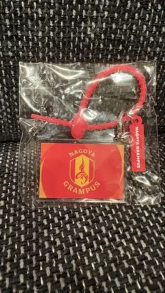 jリーグ マルチチャーム 名古屋