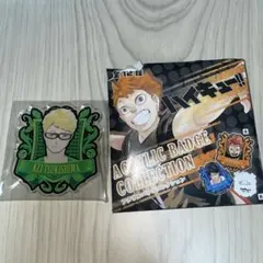 あ*ん様 ハイキューアクリルバッジコレクション　月島蛍