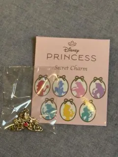 Disney Princess Secret Charm