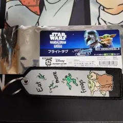 未使用 マンダロリアン フライトタグ グローグー スターウォーズ キーホルダー