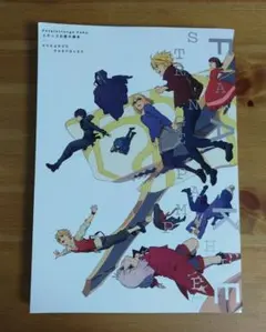 Fate/strange Fake Fate/strange スタッフお疲れ様本 まゆとかげ