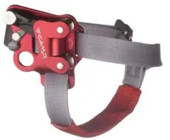 Item thumbnail for item 243ae769-bcff-488a-ba9b-91df14af1bcb