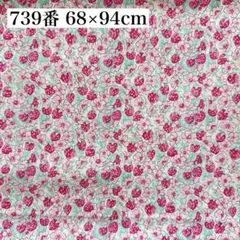 Item thumbnail for item 1a407cce-32f1-4cd6-b13a-6191fa72e873