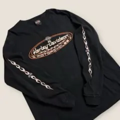 00s USA Harley Davidson 袖ファイアー ロンT