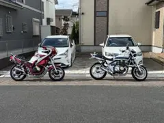 社外外装 中華カウルセット Ninja250 Ninja400用 - メルカリ