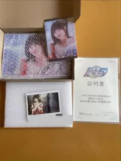 値下げ致しません】乃木フェス 井上和 直筆サイン入りメモリアルフォト