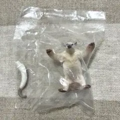 アリクイ　威嚇　フィギュア