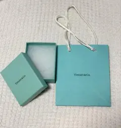 ティファニー ショッピングバッグ オブジェ インテリア 置物 陶器 花瓶