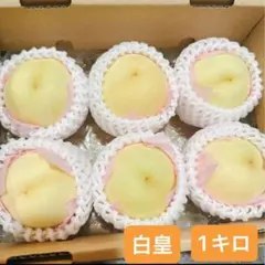 岡山県産 白皇 白桃 6玉入り 家庭用 一宮ブランド - メルカリ