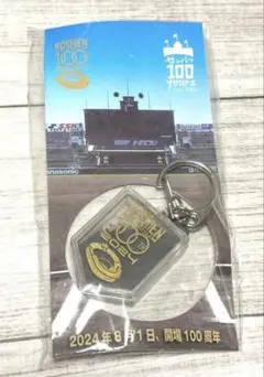 希少　甲子園の土入りキーホルダー（非売品）